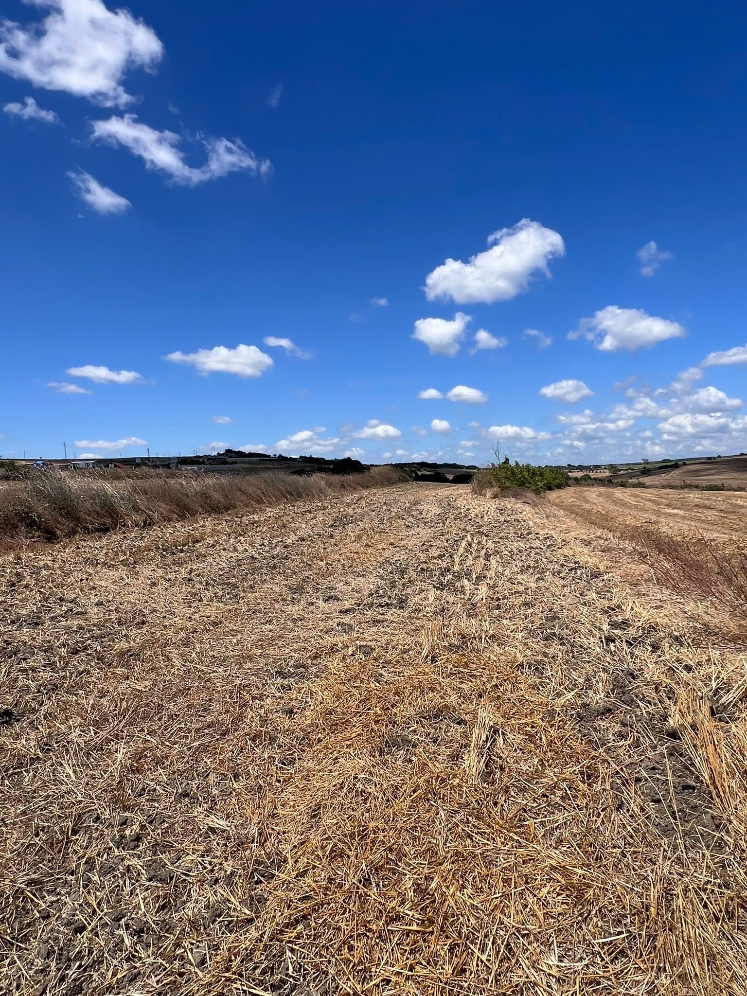 5,140 m² Freehold Investment Land in Silivri Kurfallı görsel 1