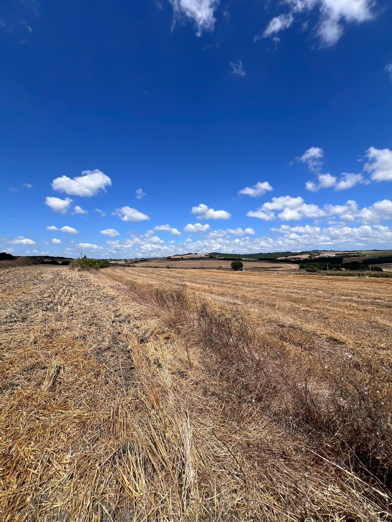 5,140 m² Freehold Investment Land in Silivri Kurfallı görsel 3