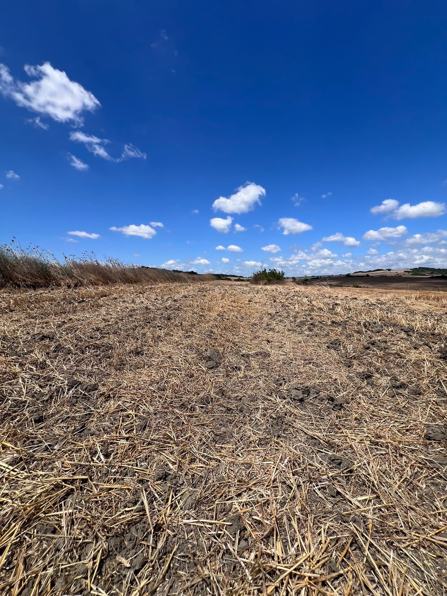 5,140 m² Freehold Investment Land in Silivri Kurfallı görsel 4